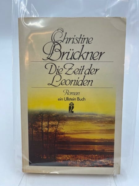 Die Zeit der Leoniden.