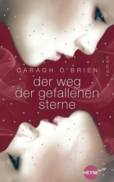 Der Weg der gefallenen Sterne: Roman (Heyne fliegt)
