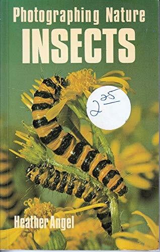 Insects (Photographing Nature)
