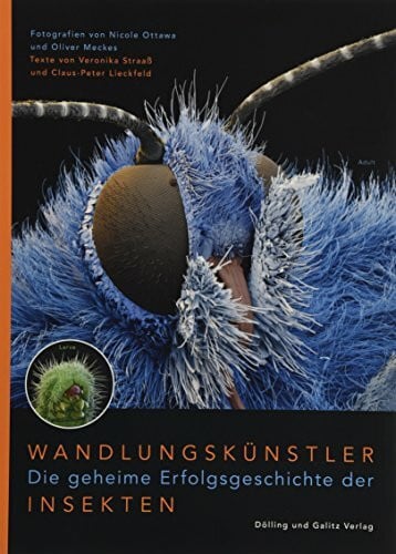 Wandlungskünstler. Die geheime Erfolgsgeschichte der Insekten