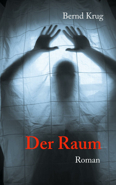 Der Raum: Roman