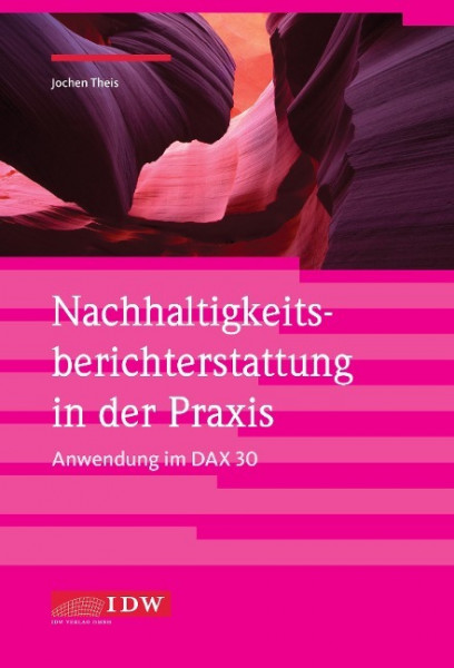 Nachhaltigkeitsberichterstattung in der Praxis - Anwendung im DAX 30
