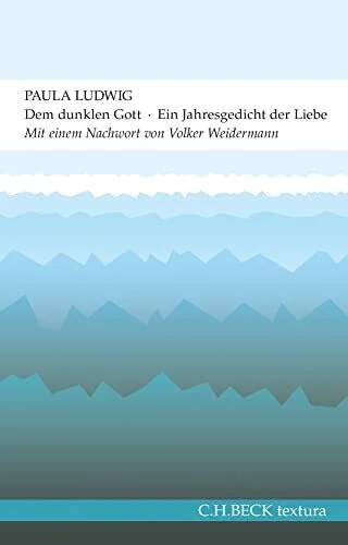Dem dunklen Gott: Ein Jahresgedicht der Liebe (textura)
