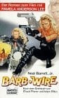 Barb Wire (Allgemeine Reihe. Bastei Lübbe Taschenbücher)