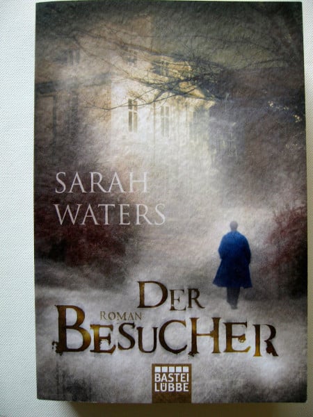 Der Besucher: Roman