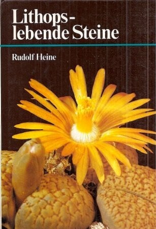 Lithops - lebende Steine