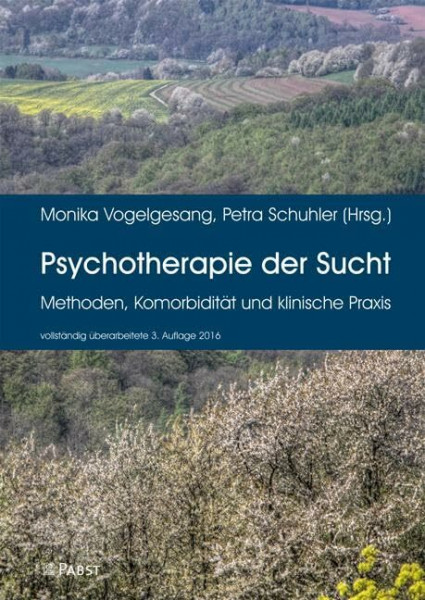 Psychotherapie der Sucht: Methoden, Komorbidität und klinische Praxis