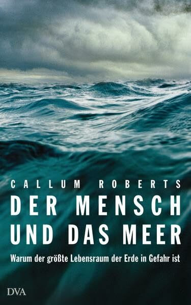 Der Mensch und das Meer: Warum der größte Lebensraum der Erde in Gefahr ist