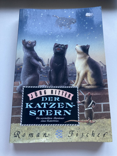 Der Katzenstern: Roman