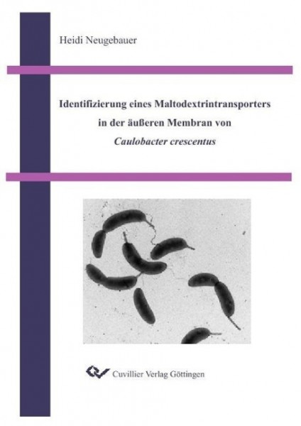Identifizierung eines Maltodextrintransporters in der äußeren Membran von Caulobacter crescentus