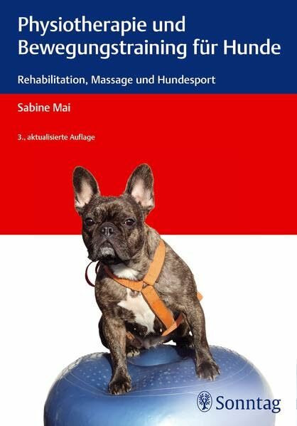 Physiotherapie und Bewegungstraining für Hunde: Rehabilitation, Massage und Hundesport