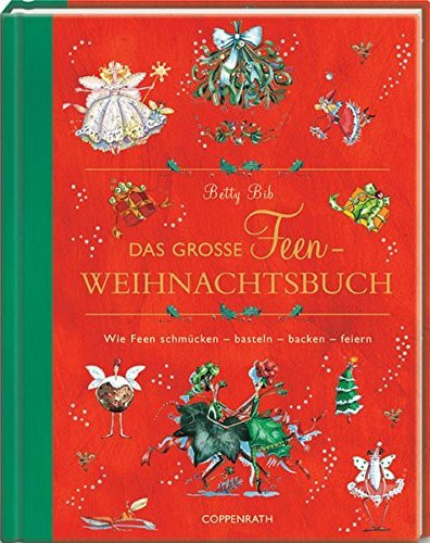 Das große Feen-Weihnachtsbuch