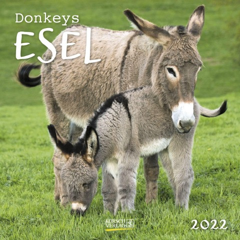 Esel 2022
