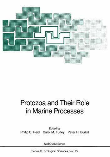 Protozoa and Their Role in Marine Processes: Proceedings (Nato ASI Subseries G:, 25, Band 25)