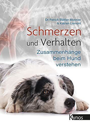 Schmerzen und Verhalten: Zusammenhänge beim Hund verstehen