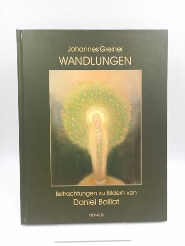 Wandlungen: Betrachtungen zu Bildern von Daniel Boillat (Edition Sophien-Akademie)