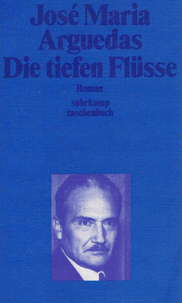 Die tiefen Flüsse: Roman (Suhrkamp Taschenbücher)