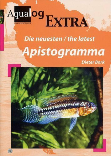 Die neusten /the latest Apistogramma: Dtsch.-Engl.