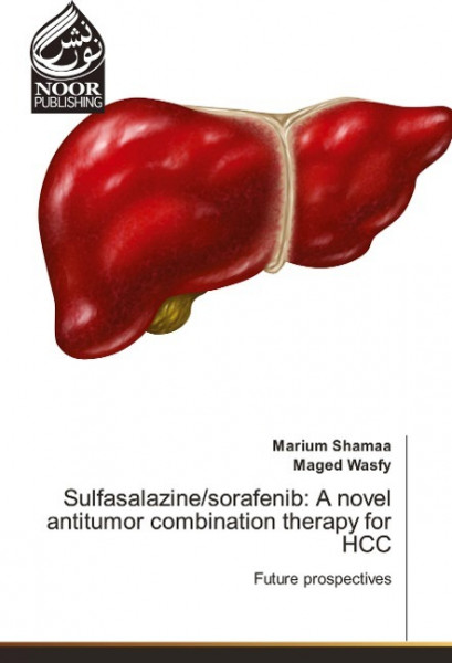 Sulfasalazine/sorafenib: A novel antitumor combination therapy for HCC