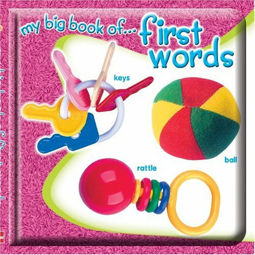 My Big Book of First Words (My Big Board Book)
