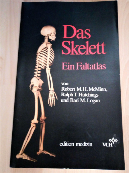 Das Skelett. Ein Faltatlas