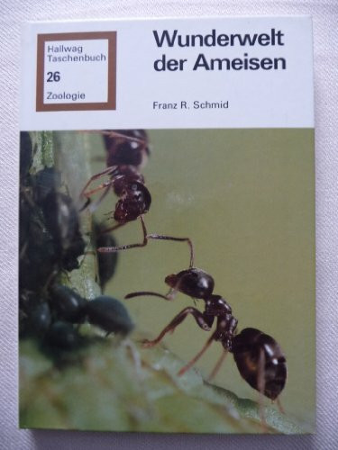 Wunderwelt der Ameisen