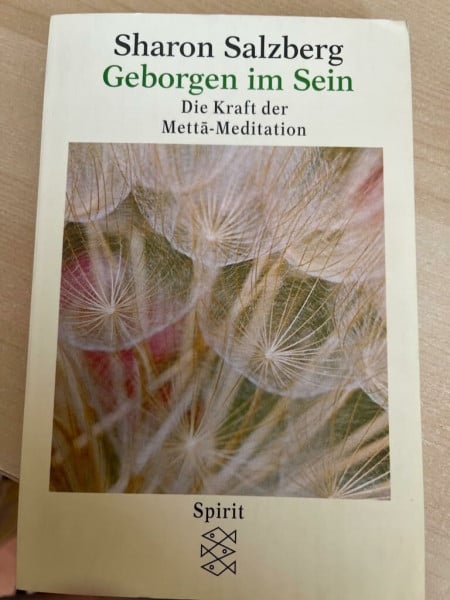 Geborgen im Sein. Die Kraft der Metta-Meditation