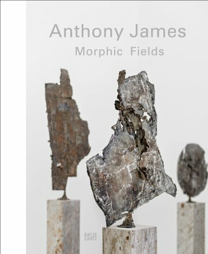 Anthony James: Morphic Fields (Zeitgenössische Kunst)