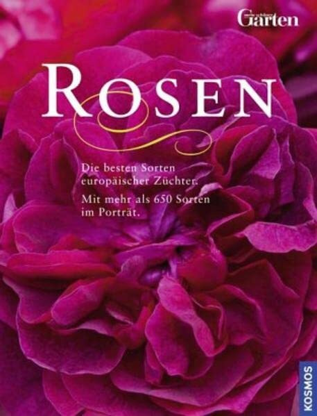 Rosen: Die besten Sorten europäischer Züchter. Über 650 Rosen im Porträt