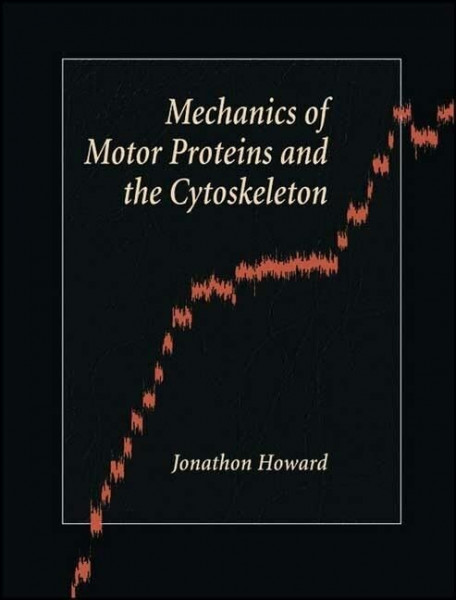 Mechanics of Motor Proteins and the Cytoskeleton