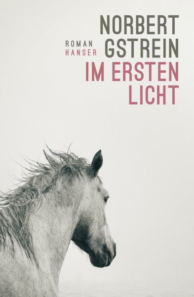 Im ersten Licht: Roman