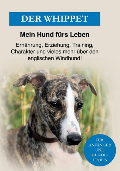 Der Whippet