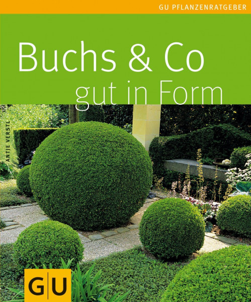Buchs & Co. gut in Form