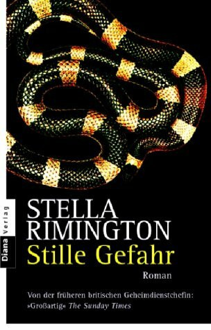Stille Gefahr: Roman
