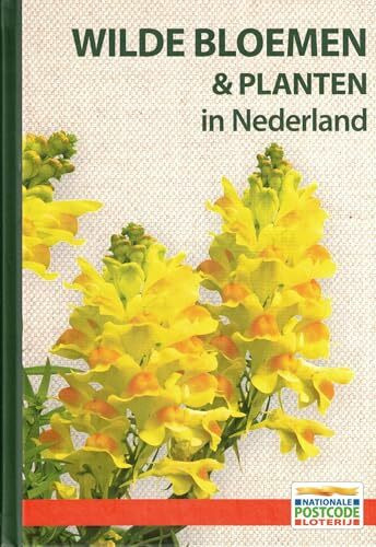 Wilde bloemen & planten in Nederland