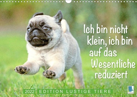 Der Mops: Nicht klein, sondern aufs Wesentliche reduziert. Edition lustige Tiere (Wandkalender 2022 DIN A3 quer)