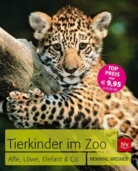 Tierkinder im Zoo: Affe, Löwe, Elefant & Co.