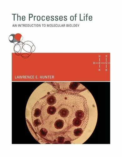 Handbook on Animal-Assisted Therapy: Theoretical Foundations and Guidelines for Practice
