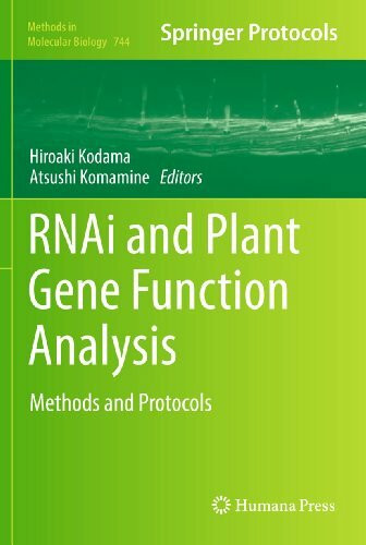 RNAi and Plant Gene Function Analysis: Methods and Protocols (Methods in Molecular Biology, 744, Band 744)