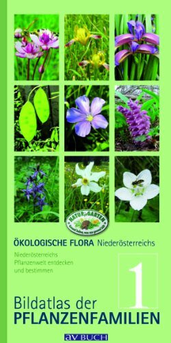 Ökologische Flora – Nieder- Österreichs Pflanzenwelt entdecken und bestimmen: Band 1 - Bidlatlas der Pflanzenfamilien