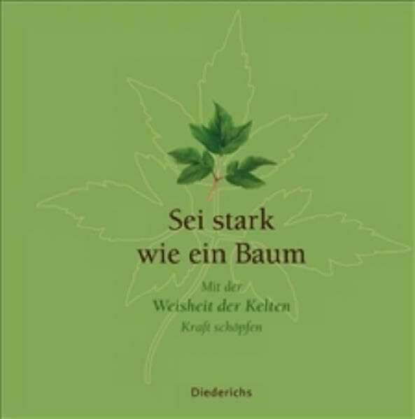 Sei stark wie ein Baum. Mit der Weisheit der Kelten Kraft schöpfen