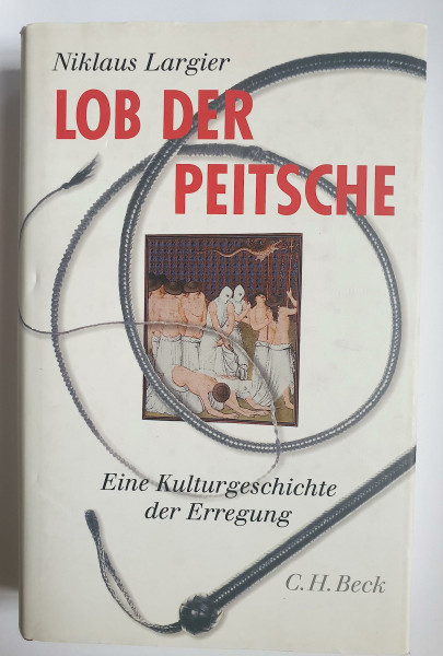 Lob der Peitsche: Eine Kulturgeschichte der Erregung