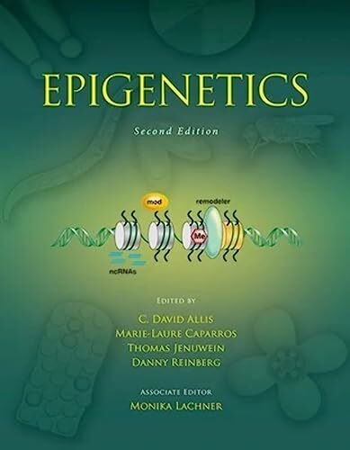 Epigenetics