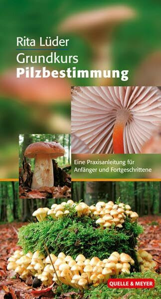 Grundkurs Pilzbestimmung: Eine Praxisanleitung für Anfänger und Fortgeschrittene (Quelle & Meyer Bestimmungsbücher)