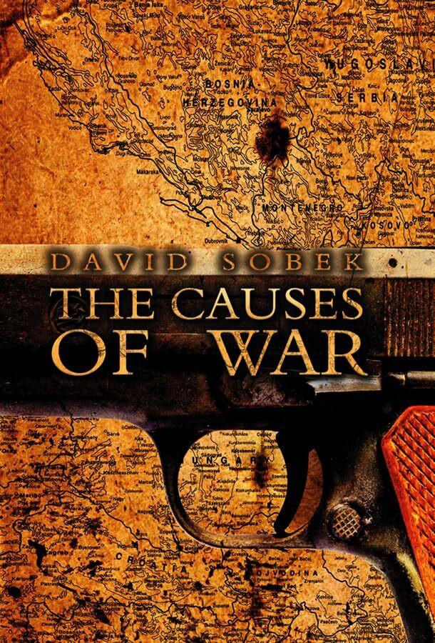 Polity The Causes Of War