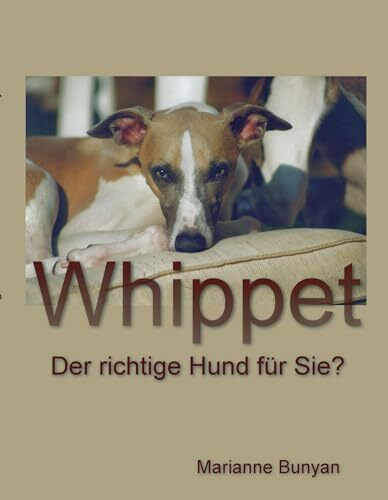 Whippet: Der richtige Hund für Sie?