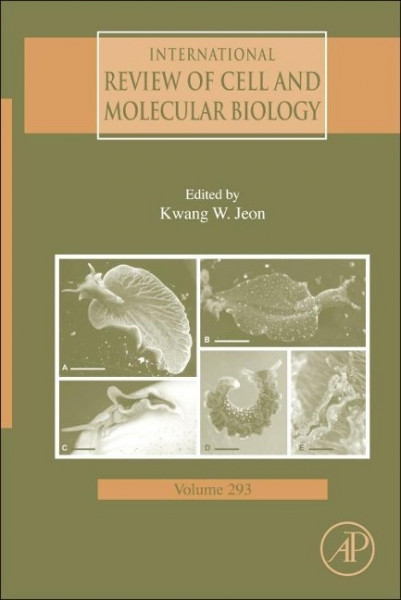 International Review of Cell and Molecular Biology Volume 293