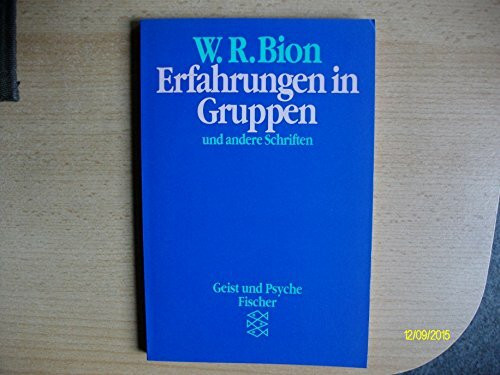 Erfahrungen in Gruppen: Mit e. Vorw. v. Hermann Beland (Konzepte der Humanwissenschaften)