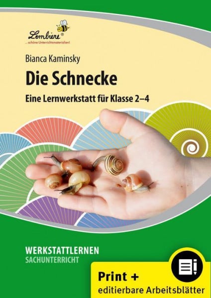 Die Schnecke