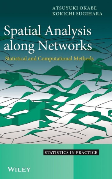 Spatial Analysis Along Networks